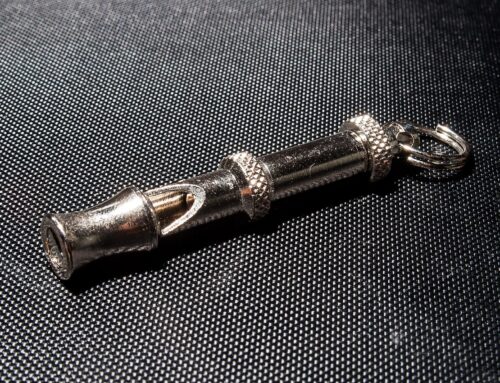 Whistleblowing